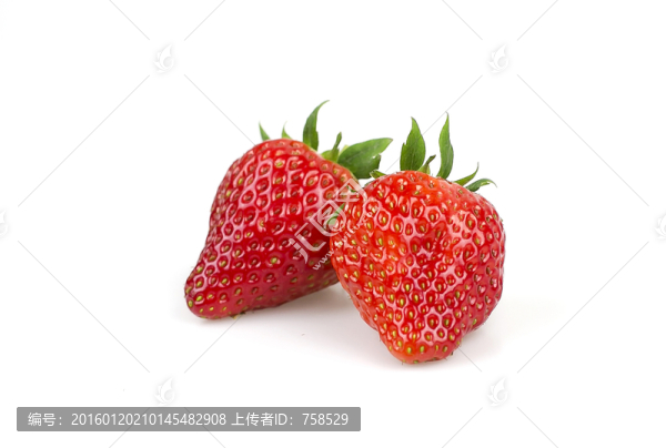 草莓