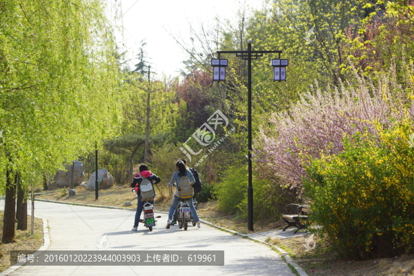 公園春光