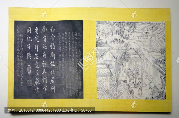 棉花全圖