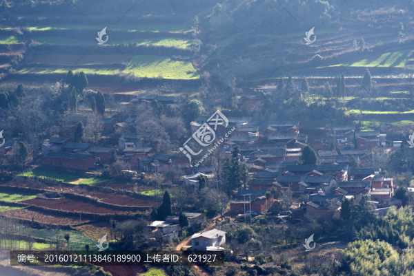 美麗鄉(xiāng)村