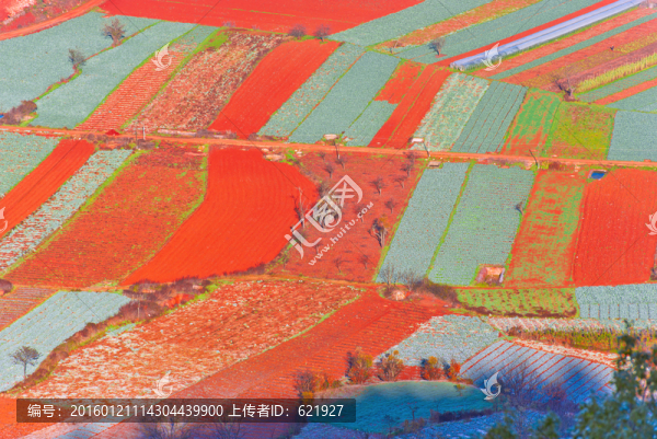 紅土地
