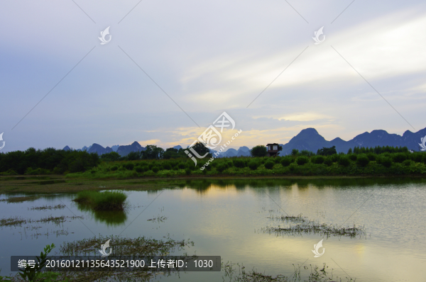 濕地