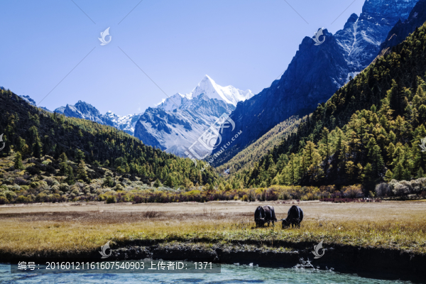 川西風(fēng)景,高原風(fēng)光