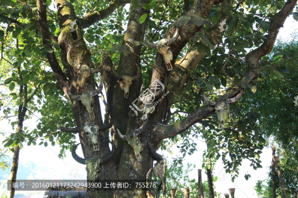翁丁佤族村寨