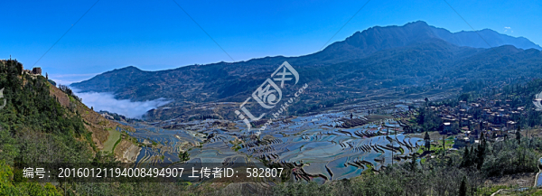 梯田全景