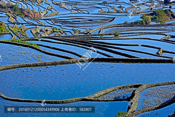 梯田