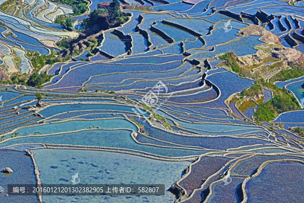 梯田