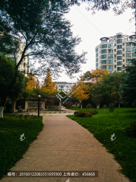小區(qū)綠化景觀