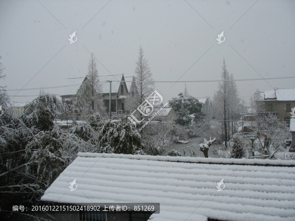 大雪
