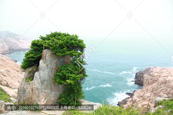 海岸