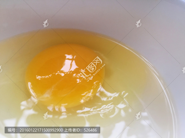 鮮蛋