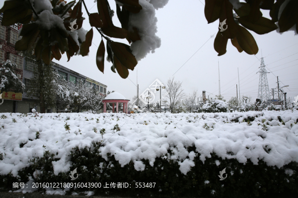 雪景