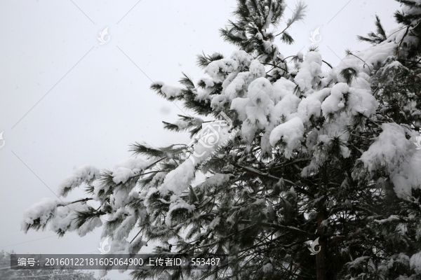 雪景
