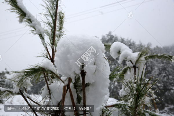 雪景