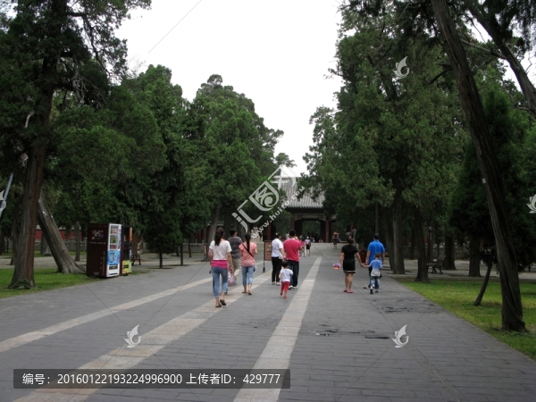 曲阜旅游