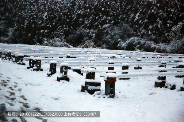 雪景