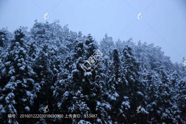 雪景
