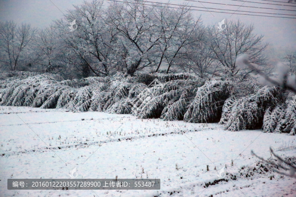雪景