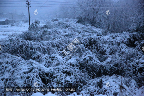 雪景