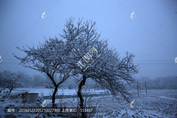 雪景