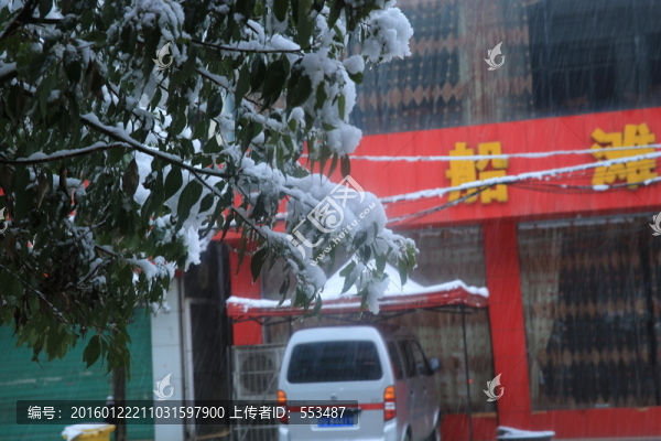 雪景
