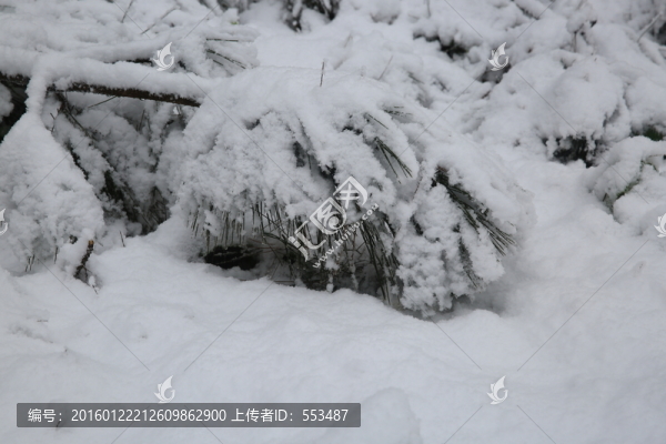 雪景