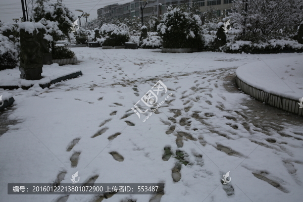 雪景