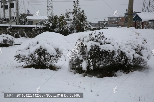 雪景