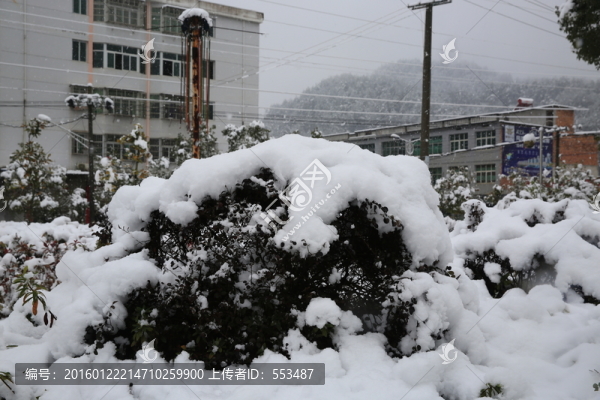 雪景