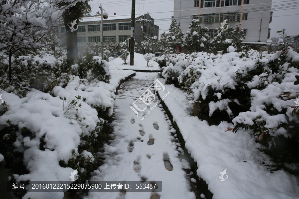 公園雪景