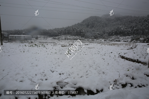 雪景