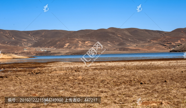 昭通黑頸鶴保護(hù)區(qū)