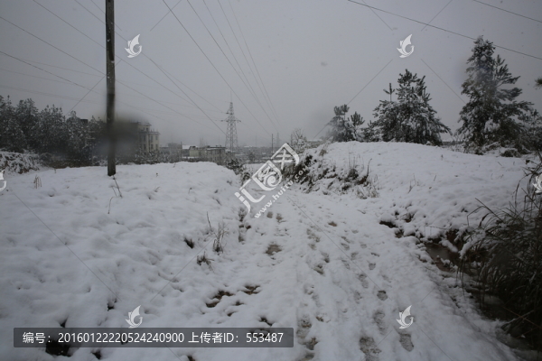 雪景