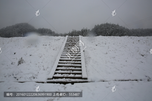 雪景