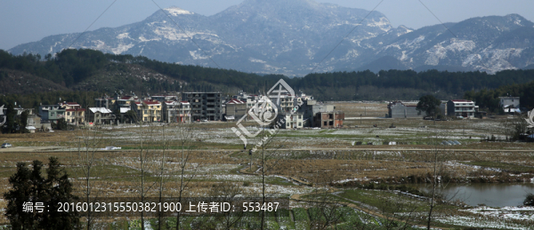 田野