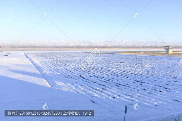 冬雪
