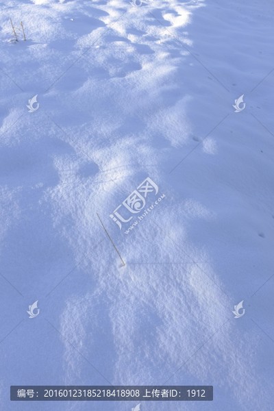 雪地
