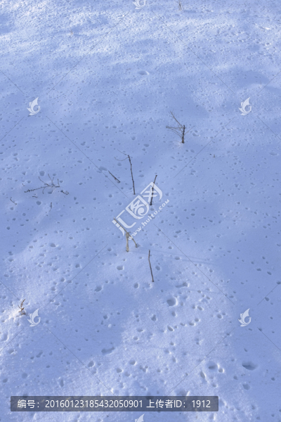 雪