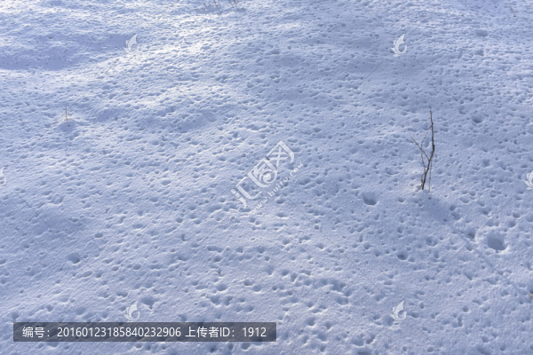雪地