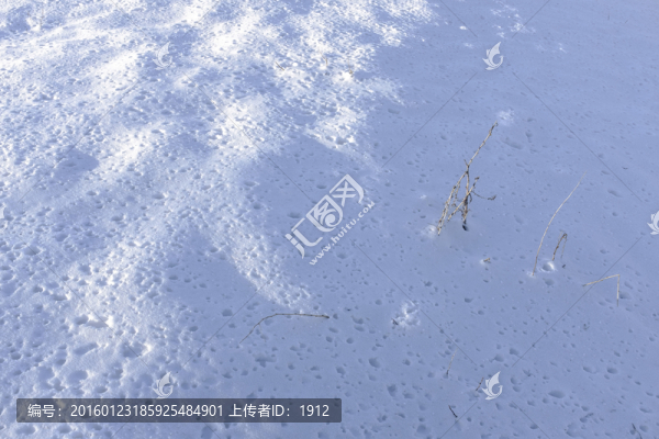 白雪