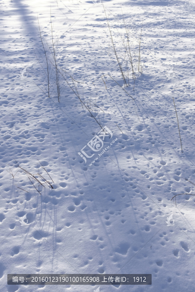雪地