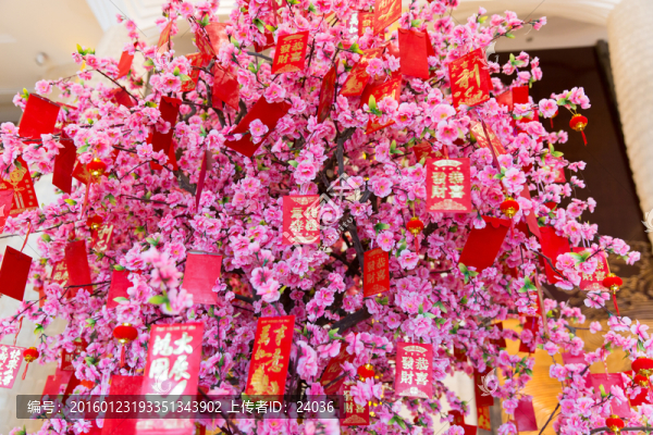 發(fā)財(cái)樹(shù),紅包樹(shù)