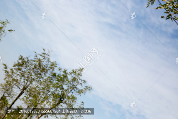 天空,藍(lán)天白云