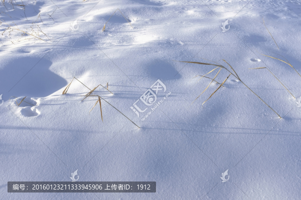 冬雪