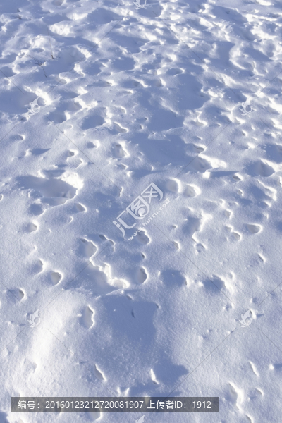 冬雪