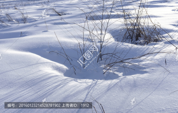 雪地