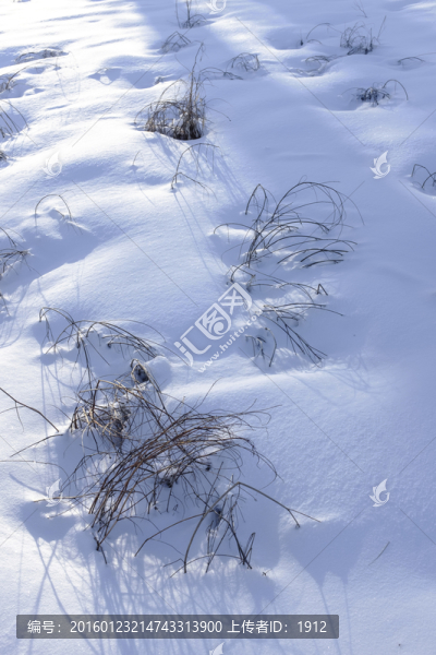 雪景