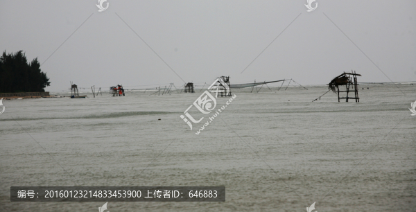 海邊養(yǎng)殖