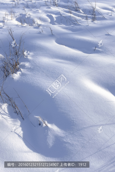 雪地