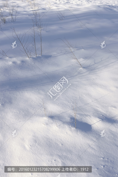 雪地